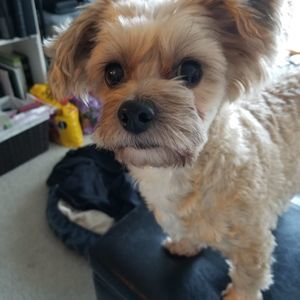 Meet your Posher, Kim